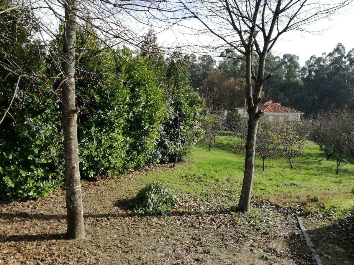 Willa Casa Da Costeira Figueiro Zewnętrze zdjęcie